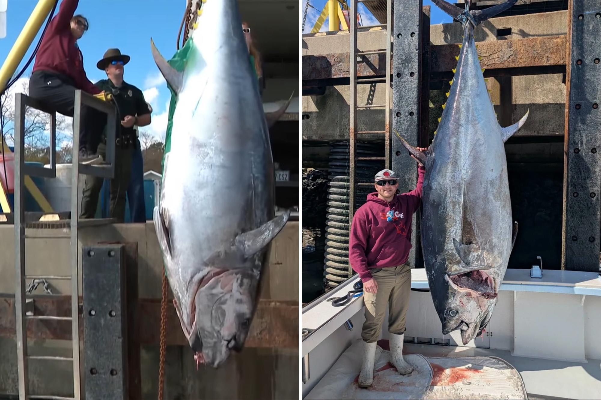 New Hampshire fisherman reels in record-breaking 1,116-pound bluefin tuna, smashing state mark 144190415