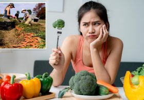 Fruits and vegetables 50% less nutritious as in the 1960s: ‘Hollowing out our food’