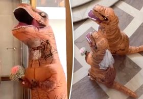 California city hall goes jurassic with dino wedding ceremony