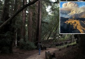 Iconic coastal California state park to finally reopen after devastating wildfire
