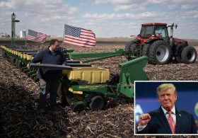 Trump promises $8 billion in relief to farmers reeling from high diesel costs