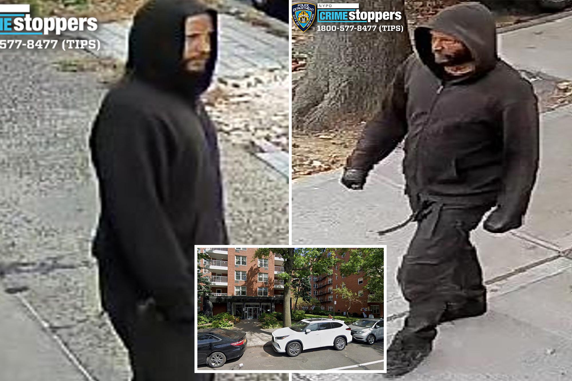 Granny pushing child in stroller randomly punched in broad daylight NYC attack 146221686