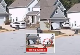 Dramatic footage captures car smashing into house during South Carolina police chase