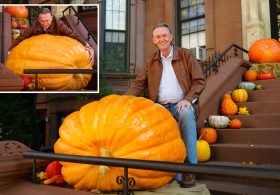 1,000-pound pumpkin draws gawkers to Park Slope for annual Halloween tradition