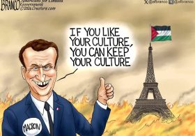 Best political cartoons: Macron’s French fried disaster