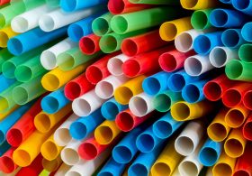 New Study Shreds the Eco Straw Narrative as Plastic Wins Across Most Categories