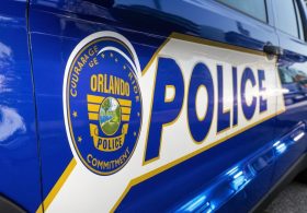 Orlando Bar Crash Banana Hero Fully Embraces Her New Identity