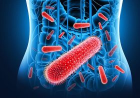Sexually transmitted diarrhoea is on the rise and spreading rapidly in the US