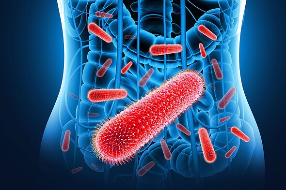 Sexually transmitted diarrhoea is on the rise and spreading rapidly in the US 217647 1