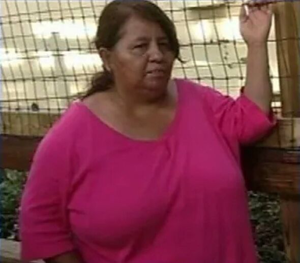 Woman's body nearly torn in half after horror fall from rollercoaster in front of daughter 218025 1
