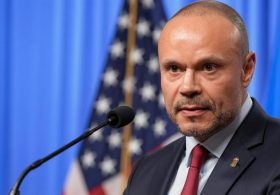 The Polls Are Saying One Thing, the Early-Vote Data Says Something Completely Different: Bongino