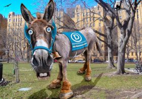 Battle for Control of US House Narrows as Wacky Democrats Lose Ground for Second Week in a Row