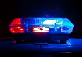 Justice for Blackey: How Santa Ana PD – and the Public – Helped Solve a Gruesome Animal Cruelty Case