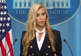 Cute: Katie Zacharia To Dress Up As A Lawyer For Halloween
