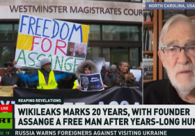 Assange created the ‘fifth estate’ – ex-CIA analyst