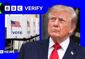 Trump says US voter fraud is ‘rampant’ – evidence suggests it is extremely rare