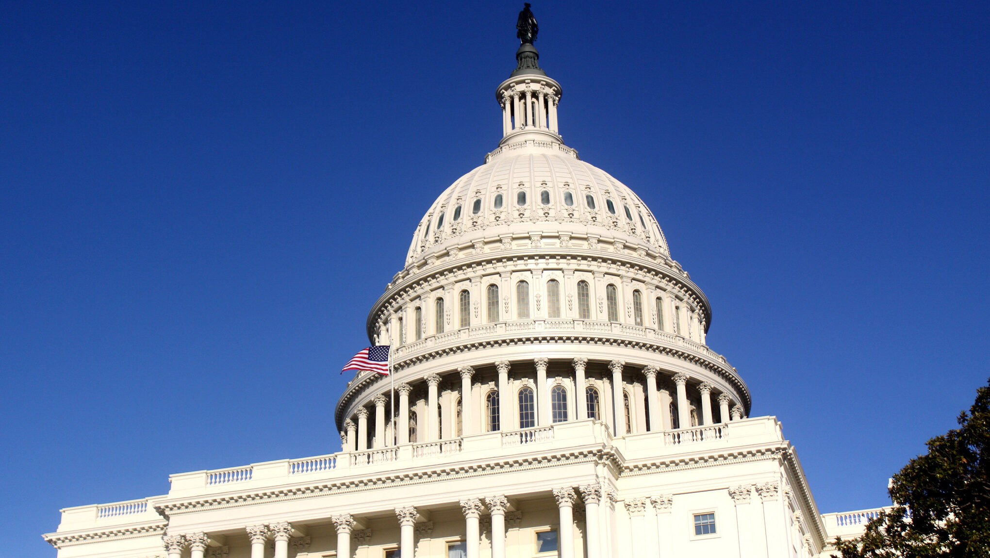 What The Midterms Mean For Trump’s Effort To Restore Citizens’ Proper Representation In The Census 8555451462 d2de1b125d k e1791228237445