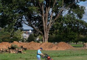 Trump Golf Course Battle Takes Another Turn As Judge Reyes Blocks Tree Removal, Calls Out DOJ