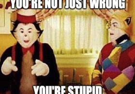 Obtuse Woman ‘Mixes Up’ Ilhan Omar’s Immigration Story With Total Immigration Fraud Elon Musk’s