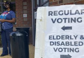 POLL: Majority of Voters Fear Noncitizen Voting