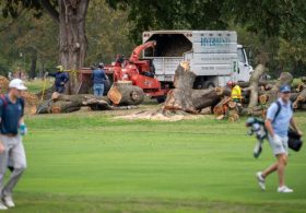Judge extends tree-cutting block at East Potomac Park