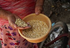 A dangerous El Niño could turn hunger into famine 