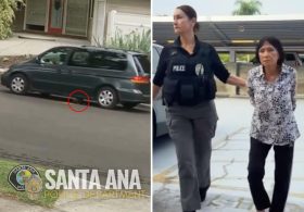 SoCal accused puppy crusher unmasked after sick video of her luring dog under minivan