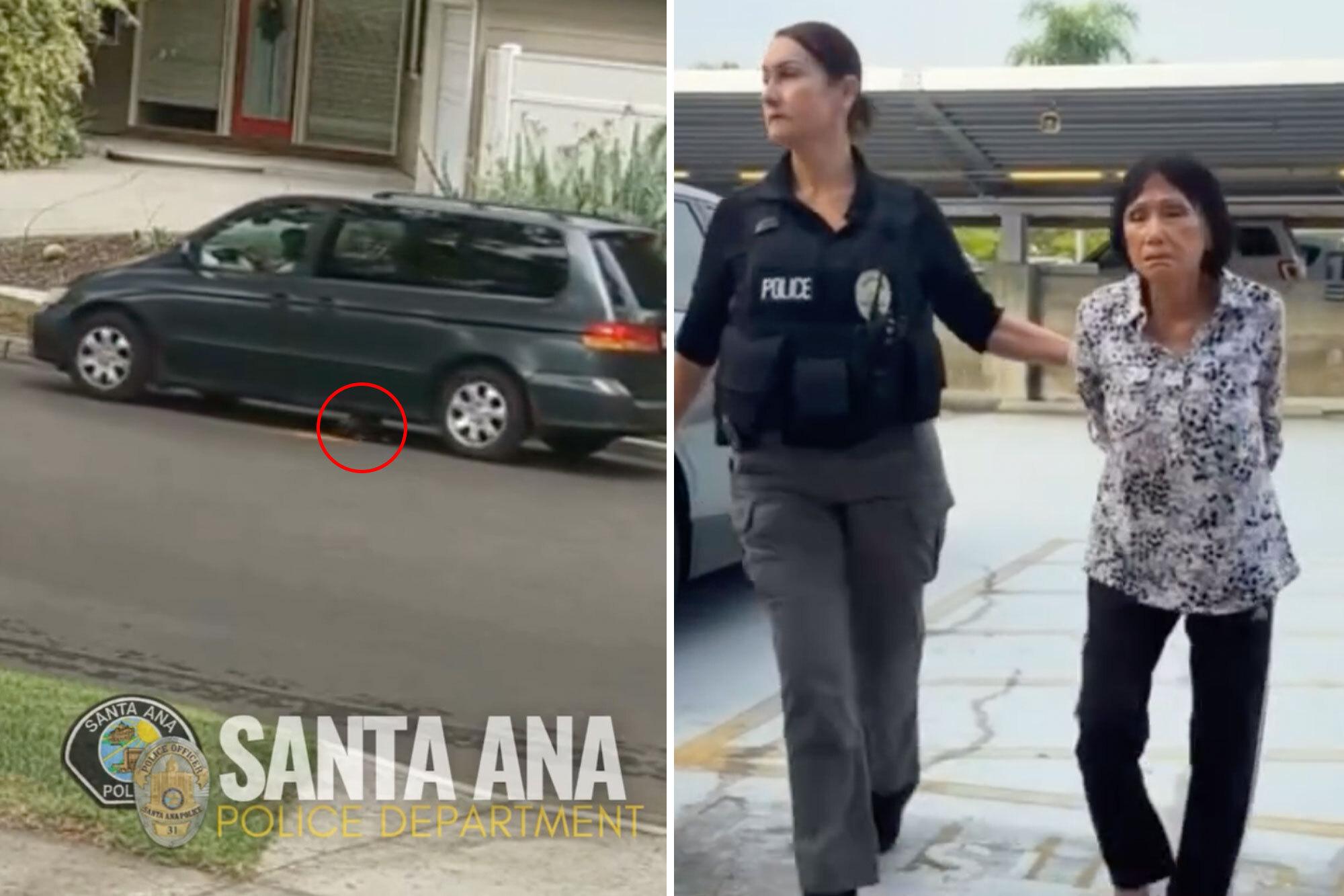 SoCal accused puppy crusher unmasked after sick video of her luring dog under minivan COMP 43
