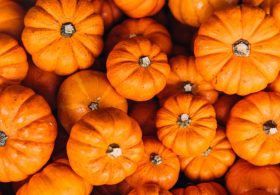 Illinois pumpkin production rises ahead of weather-challenged harvest