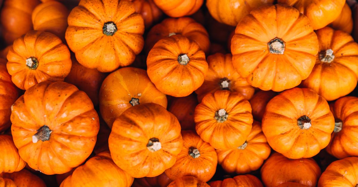 Illinois pumpkin production rises ahead of weather-challenged harvest GettyImages 1398145721