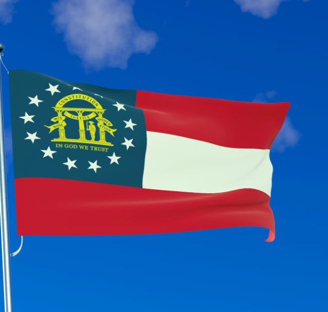 Georgia State Election Board asks Justice Department to investigate voting machines