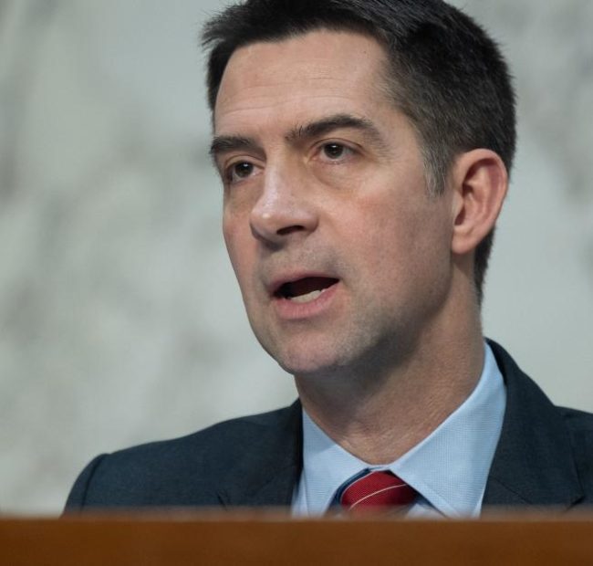 Trump calls on Cotton to stop blocking Sunshine Protection Act