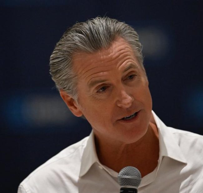 New investigation commissioned by Newsom lists failures in response to Palisades, Eaton fires