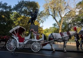 Mamdani Moves to Ban Beloved American Tradition in New York City