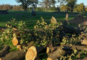Trump posts photos of ‘trash island’ D.C. golf course after court hearing