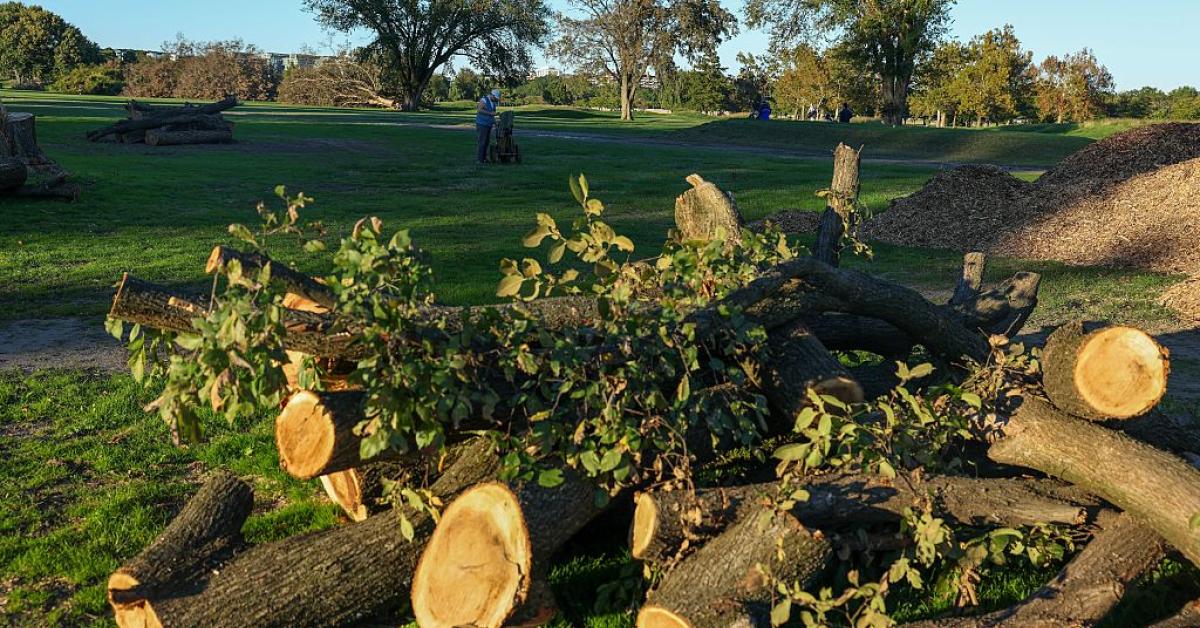 Trump posts photos of 'trash island' D.C. golf course after court hearing GettyImages 2300870873