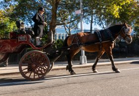 Trump slams Mamdani ban on NYC’s horse-drawn carriages: “Great tradition”