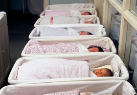 Rep. Brandon Gill Warns if Democrats ‘Take Back the House’ They Will End Investigations into Birth Tourism Agencies
