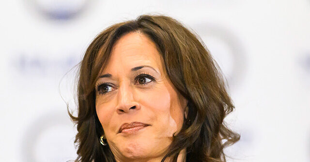 Report: Kamala Harris ‘Lays Groundwork’ for 2028 Campaign GettyImages2296095830 640x335 1