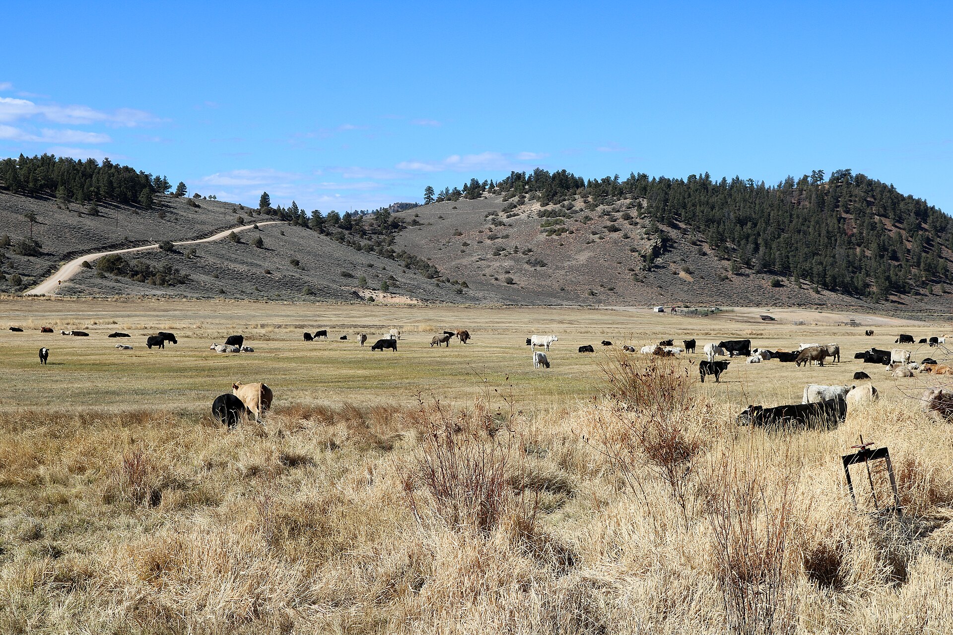 ‘Ranchers’ Backing SCOTUS Climate Suit Compared GOP To Nazis, Have Ties To Leftist Dark Money Ranch