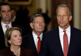 Key GOP Senator Surges to Double-Digit Lead Over Democrat in Senate Race