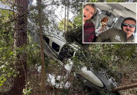 Pilot, wife and dogs survive dramatic tree-top crash landing after plane suffers engine failure: ‘Just pray’