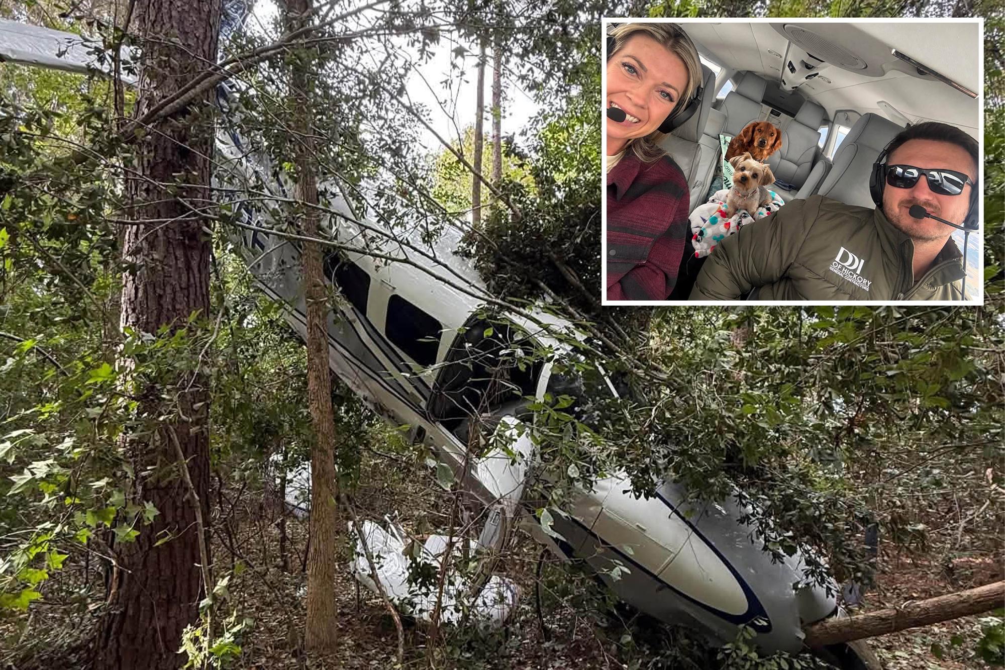 Pilot, wife and dogs survive dramatic tree-top crash landing after plane suffers engine failure: ‘Just pray’ Untitled 1 18