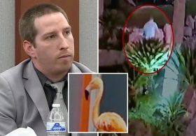 Canadian tourist accused of stealing flamingo from Las Vegas Strip says he drank up to 40 beers before pulling off heist