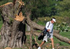 Judge continues to block Trump admin. from cutting down trees at D.C. golf course, confirms she’s still “not the Lorax”