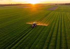 How a Fertilizer Shock Could Reshape Migration