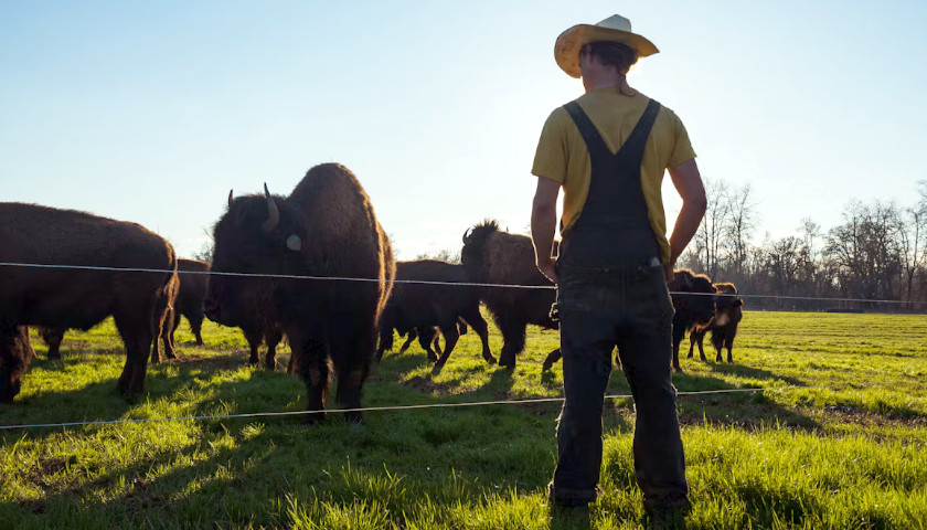 Trump Gives Farmers $8 Billion for Fuel Relief