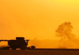 Frustrated farmers could become a midterm problem for Republicans