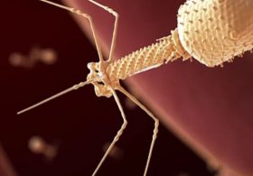 AI-Designed Virus Injection Given to Human Patient for First Time, California Startup Claims