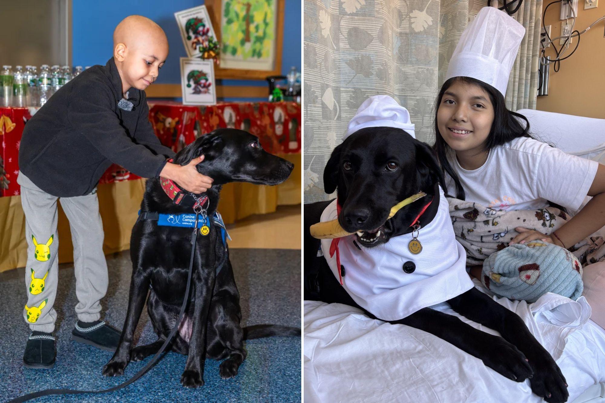 Meet NYC’s ‘doctor dogs’ who are helping hospitalized kids heal c4s9wg3 1791990158947